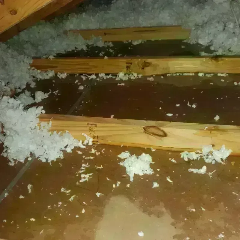 Attic Water Damage in Vilonia, AR