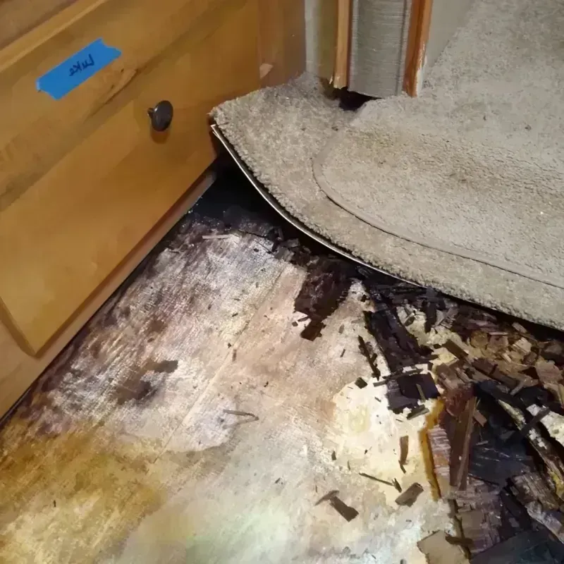 Wood Floor Water Damage in Vilonia, AR